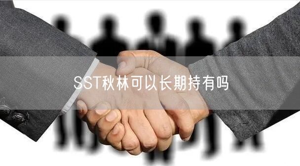 SST秋林可以长期持有吗